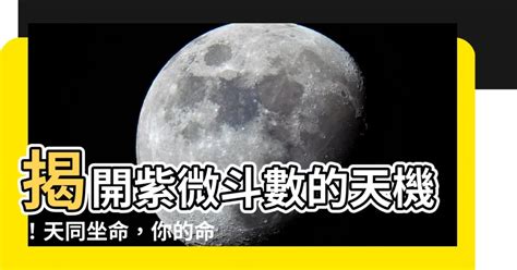 龍池|紫微鬥數：龍池星解析